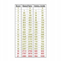 Genetics of CDKL5